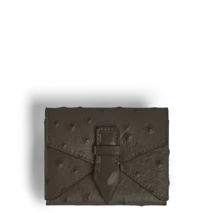 Kartenetui mit Handgelenkhalterung